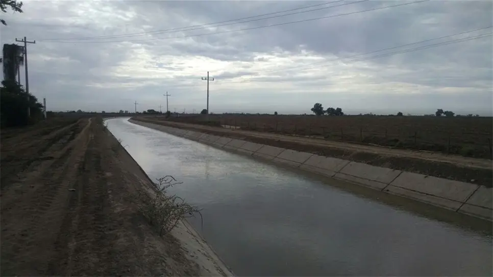 Acusa Conagua mala planeación de riego de módulos en el distrito 075