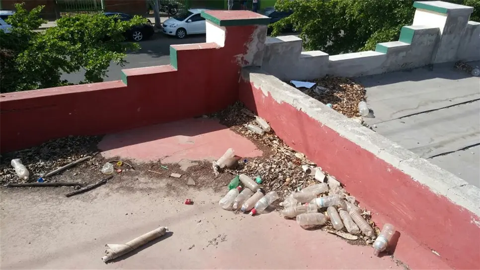 El techo de los salones.