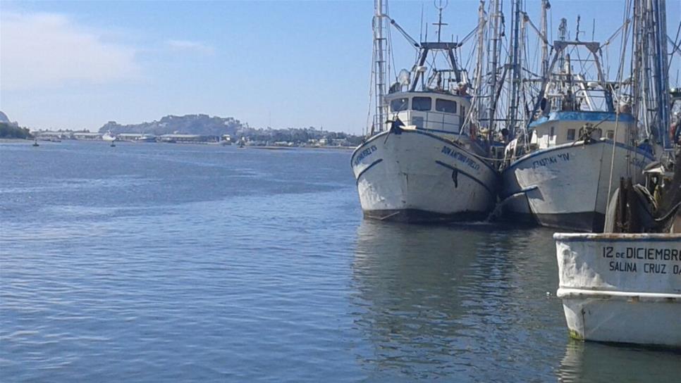 Levantan veda en el Golfo de Ulloa