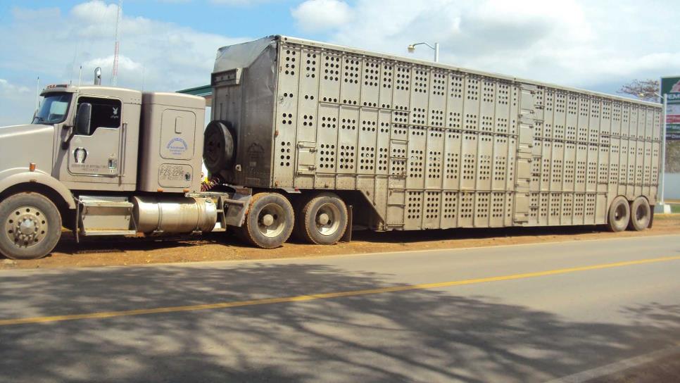 En breve iniciará operaciones la caseta fitosanitaria La Concha II