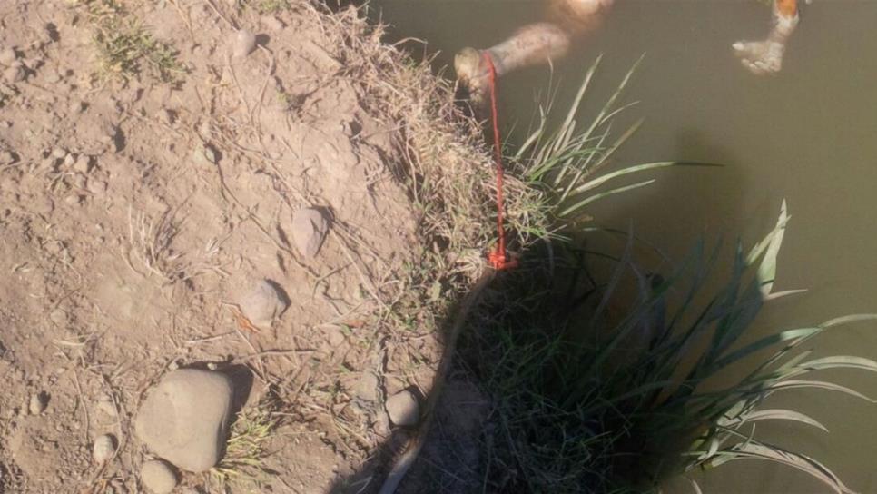 Hallan a hombre sin vida flotando en un canal en Mezquite Alto