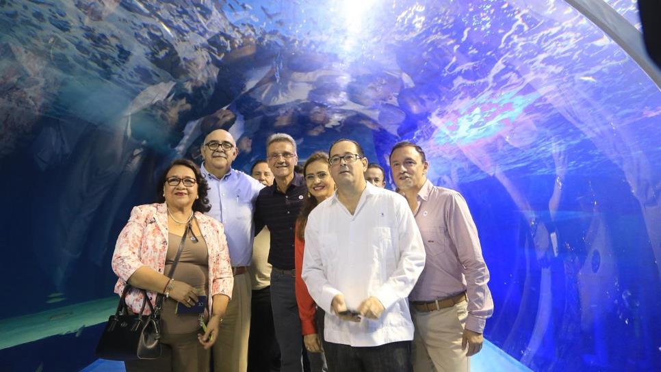 Inauguran el  Tiburonario de Mazatlán