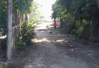 En dos años no rehabilitaron caminos vecinales de Mazatlán