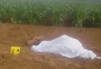 Hallan sin vida a tractorista