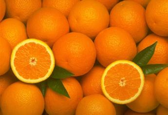 México se sitúa como el quinto productor mundial de naranja