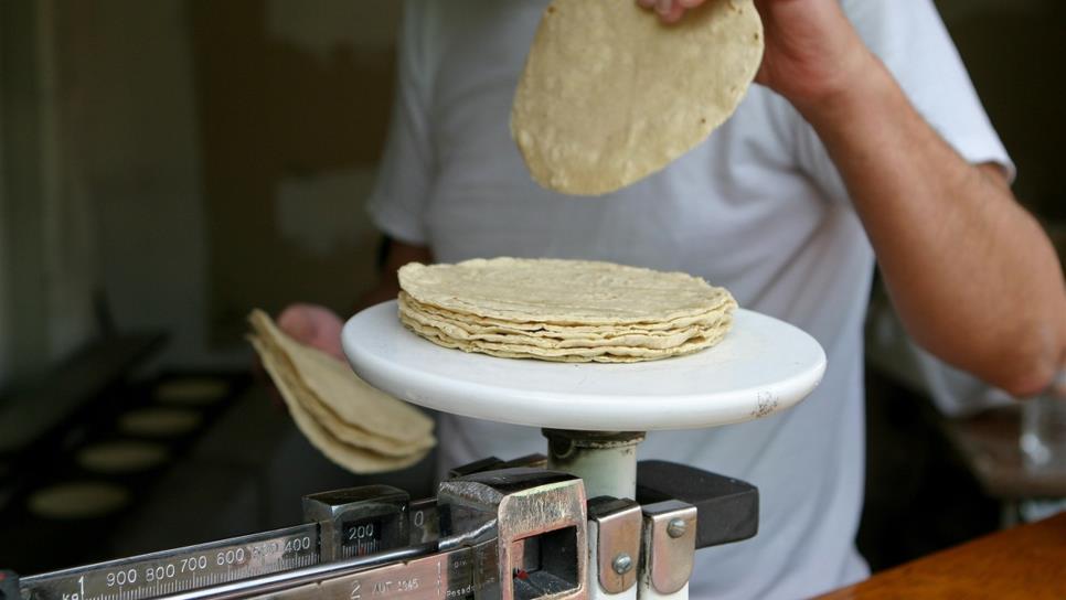 Profeco busca construir un precio promedio en kilo de tortilla