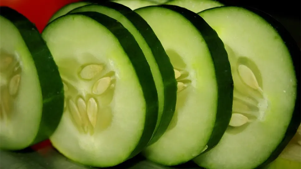 Usan nanopartículas para cultivo rápido de pepino