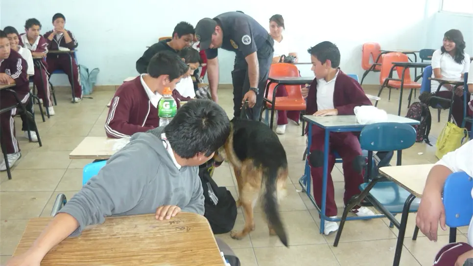 Fortalecen programa Mochila Segura para evitar armas en escuelas