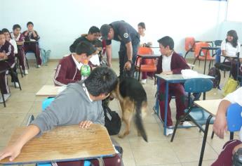 Padres de familia, quienes deben de aplicar Operativo Mochila: SEPyC