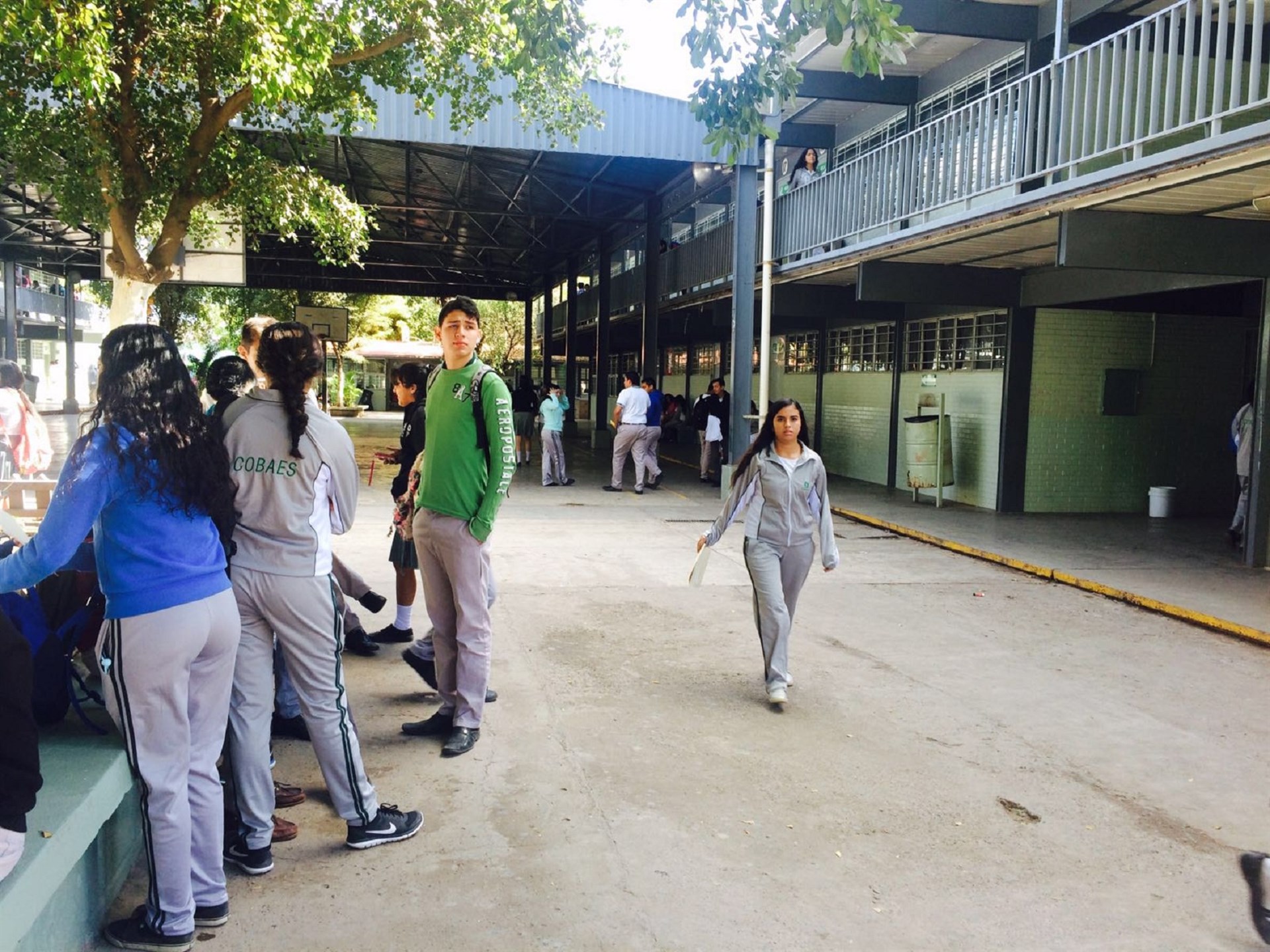 Descarta Cobaes aplicar operativo mochila