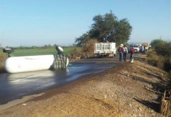 Fuga de amoniaco mata a 30 borregos y chivos