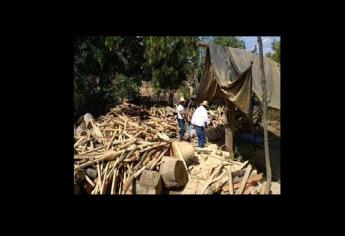 Aseguran madera y clausuran aserradero en El Rosario