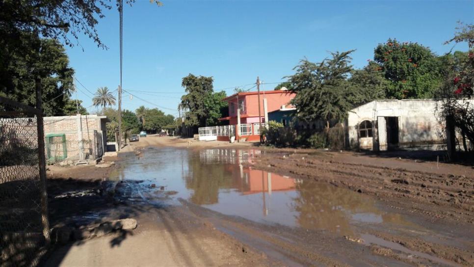 Entre aguas negras y la peste viven habitantes del Estero de JJR