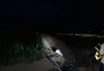 Localizan a un hombre ejecutado entre unas parcelas