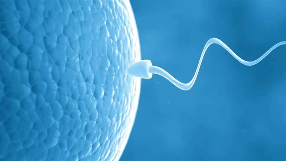 Tienen problemas de infertilidad una de cada seis parejas en México