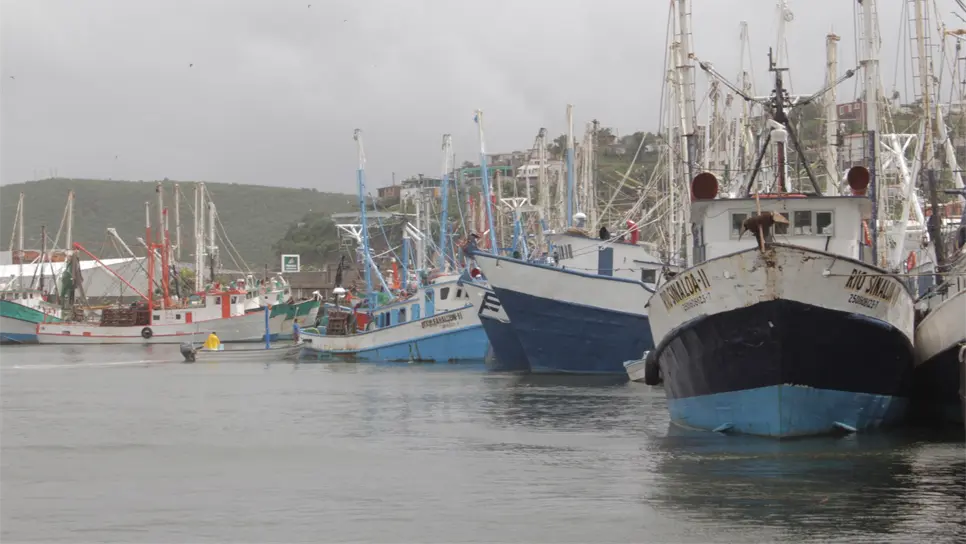 Por veda se paraliza el 80% de la flota de altamar