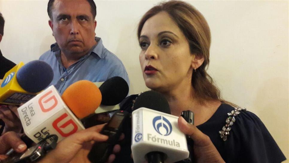 Ante violencia, diputada llama a confiar en autoridades