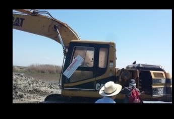 Profepa clausura obras que afectaron mangle en Culiacán