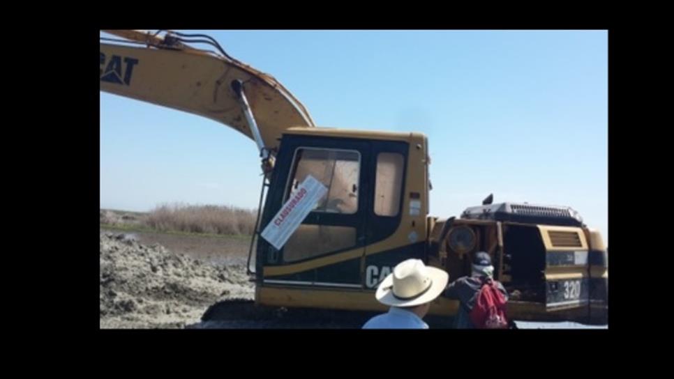 Profepa clausura obras que afectaron mangle en Culiacán