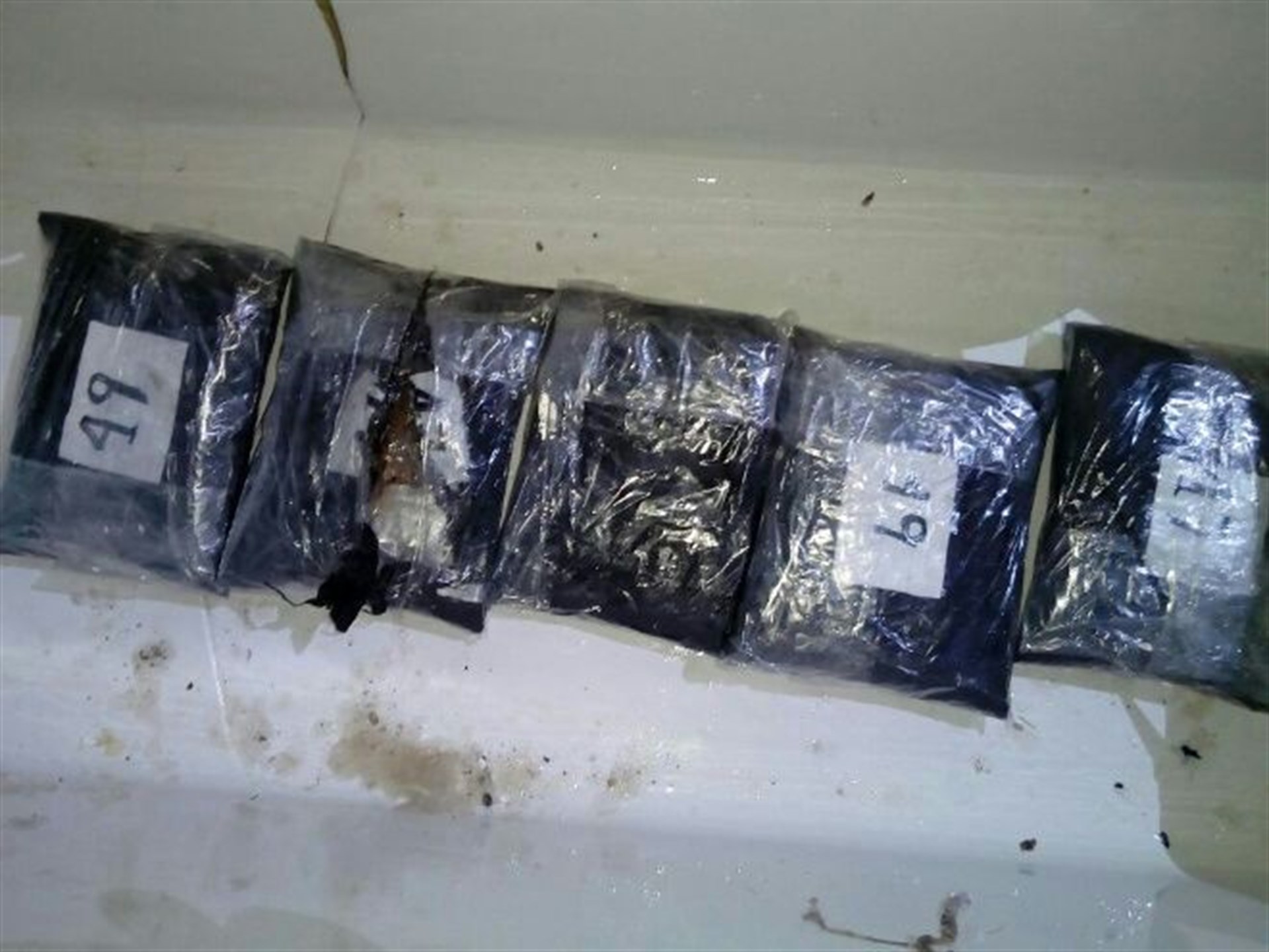 Decomisan droga oculta en hielera con pescados en El Desengaño