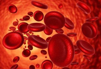 Alimentación limitada por dietas o deficiente puede generar anemia