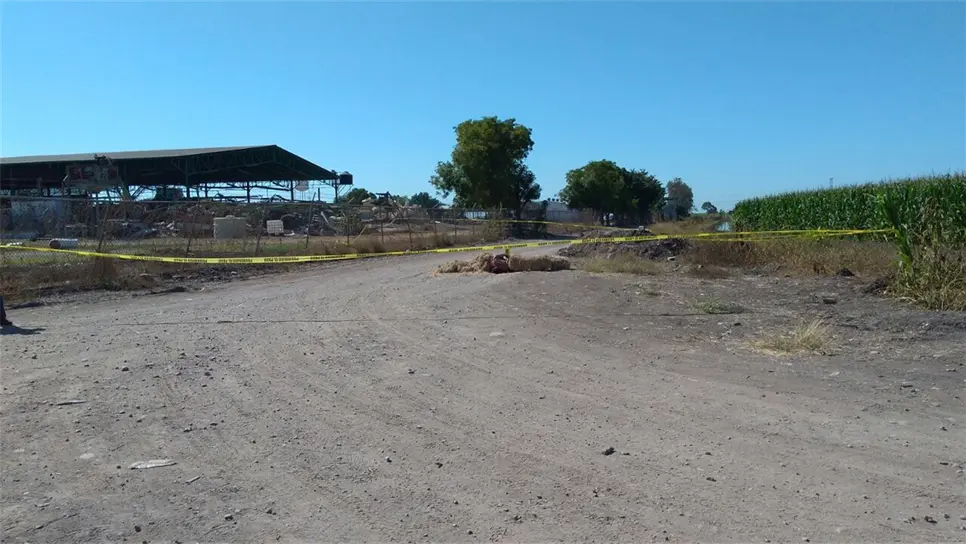 Encuentran tres ejecutados en El Quemadito