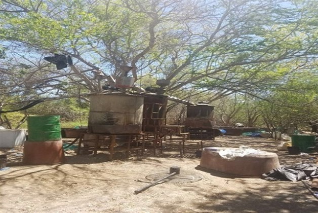 Imagen Placeholder Imagen Placeholder