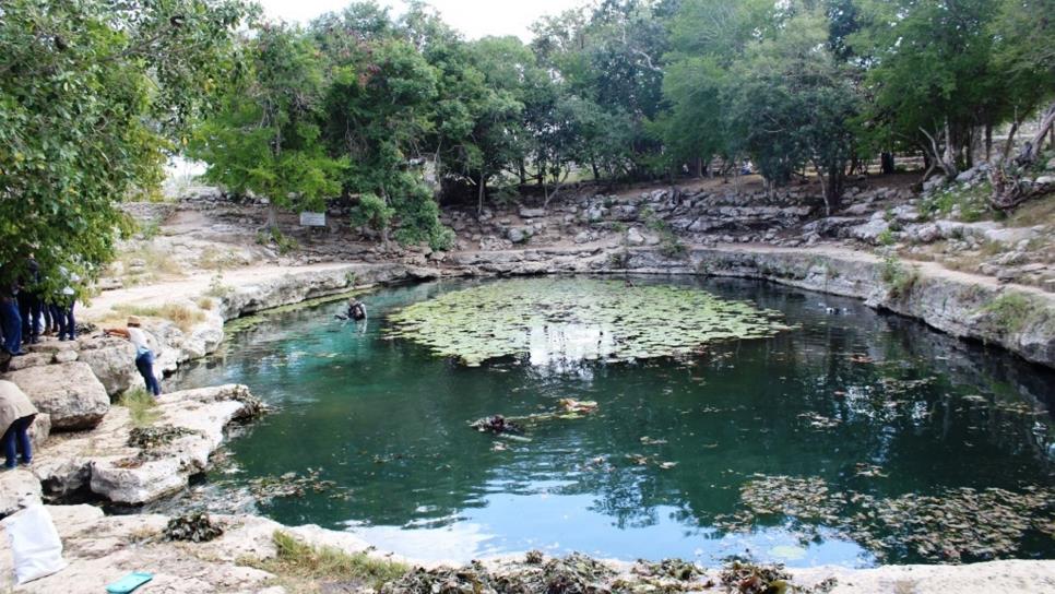 Karsticidad, el origen de las cuevas y cenotes