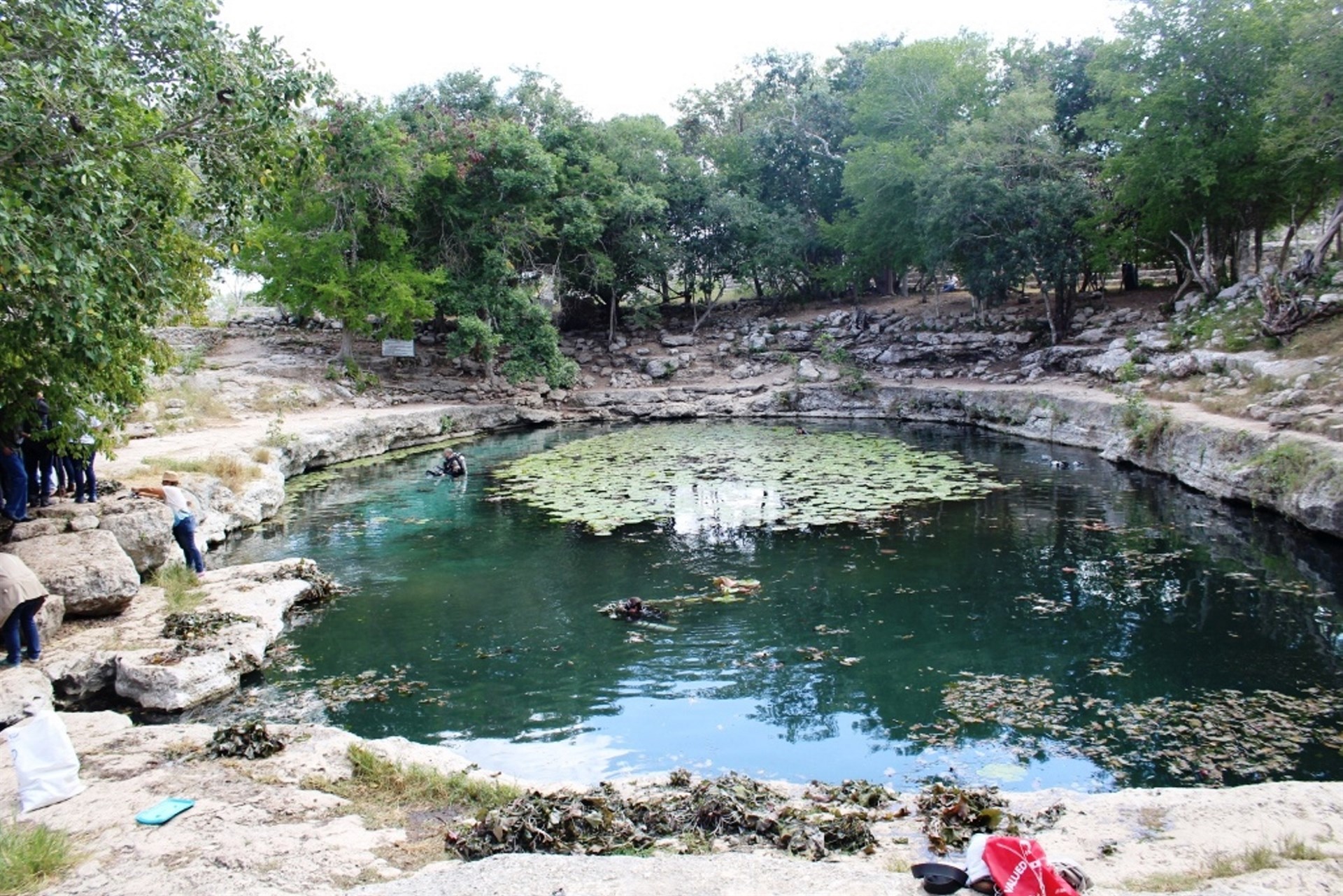 Karsticidad, el origen de las cuevas y cenotes