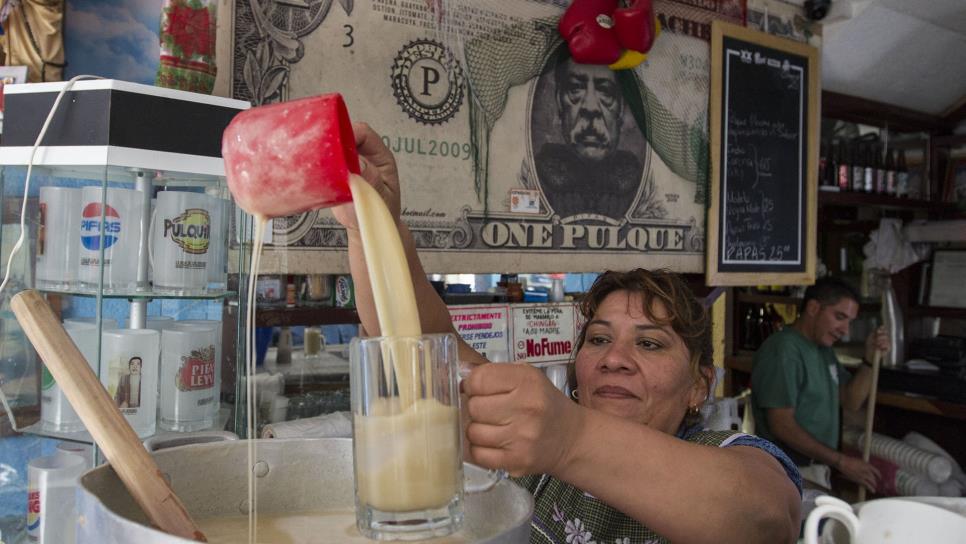 Tarímbaro, capital michoacana del pulque