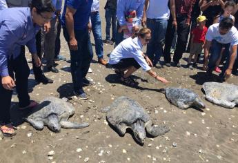 Inauguran Área de Conservación y Rehabilitación de Tortugas Marinas