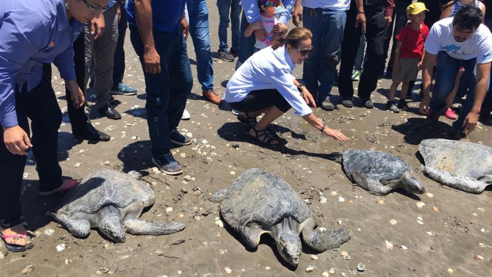 Inauguran Área de Conservación y Rehabilitación de Tortugas Marinas