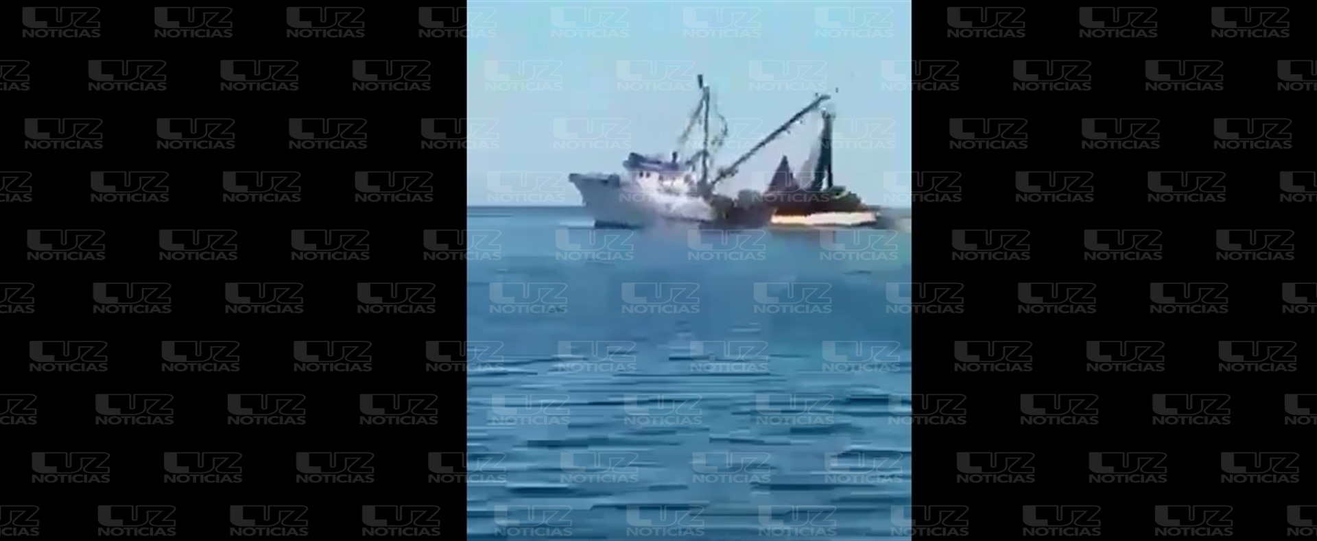 Barcos sardineros de Sonora saquean camarón en Topolobampo
