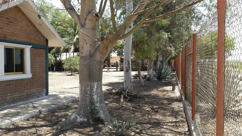 FOTO: Ernesto Torres.