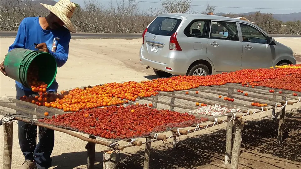 A la orilla de la carretera se ofrecen la ciruela en todas sus variedades. FOTOS: Óscar Rodríguez.