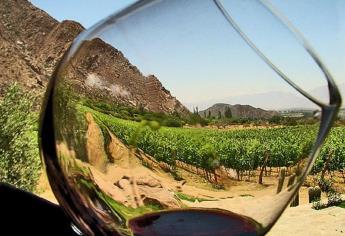 Rutas del vino impulsan a México a nivel mundial en enoturismo