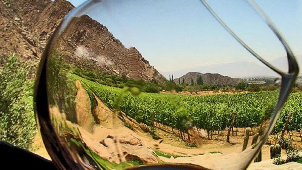Rutas del vino impulsan a México a nivel mundial en enoturismo Rutas del vino impulsan a México a nivel mundial en enoturismo