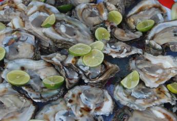 Implementan veda sanitaria en la bahía de Altata