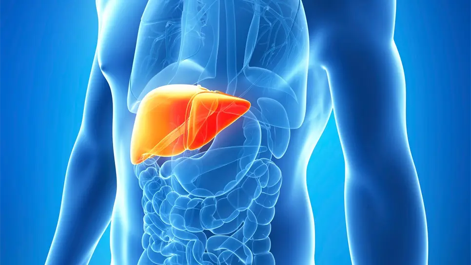 Hepatitis C, asintomática con consecuencias fatales si no se atiende