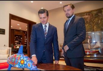 Fundación DiCaprio ayudará para evitar extinción vaquita marina