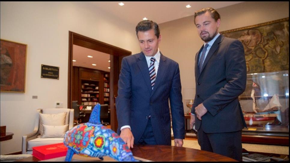 Fundación DiCaprio ayudará para evitar extinción vaquita marina