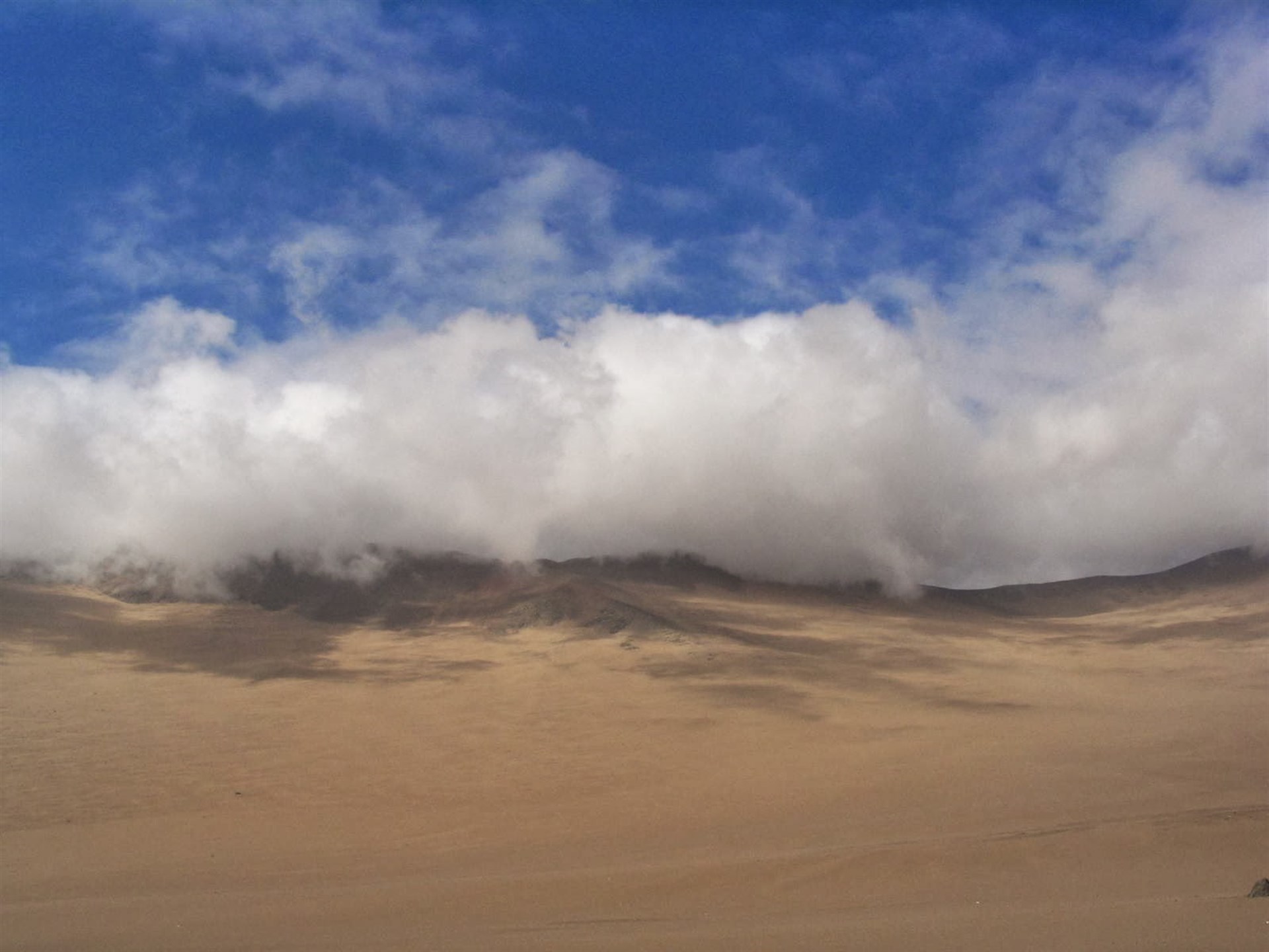 Plantean colectar niebla para generar agua en desierto cerca de Ensenada