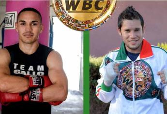 Cuadras y Gallo Estrada chocarán el 9 de septiembre en California