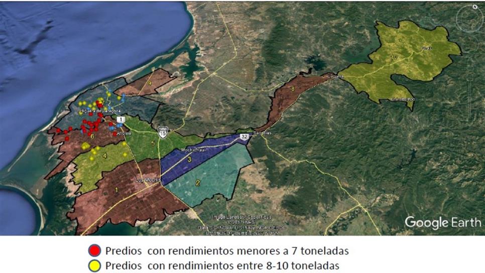 Reportan millones de pesos en pérdidas por tizón foliar en el maíz