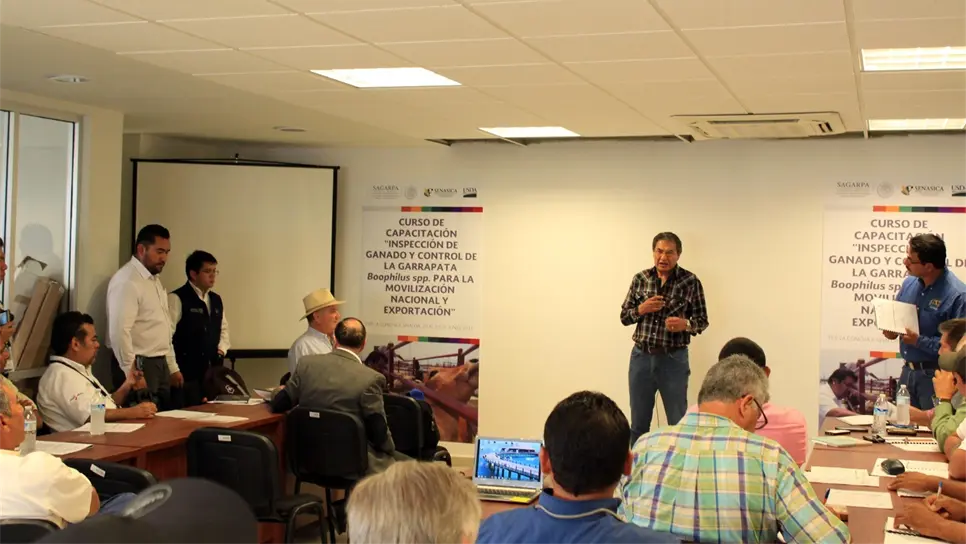 Refuerzan campaña contra garrapata bovina