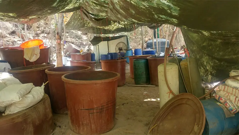 Localizan laboratorio de cristal en Cosalá