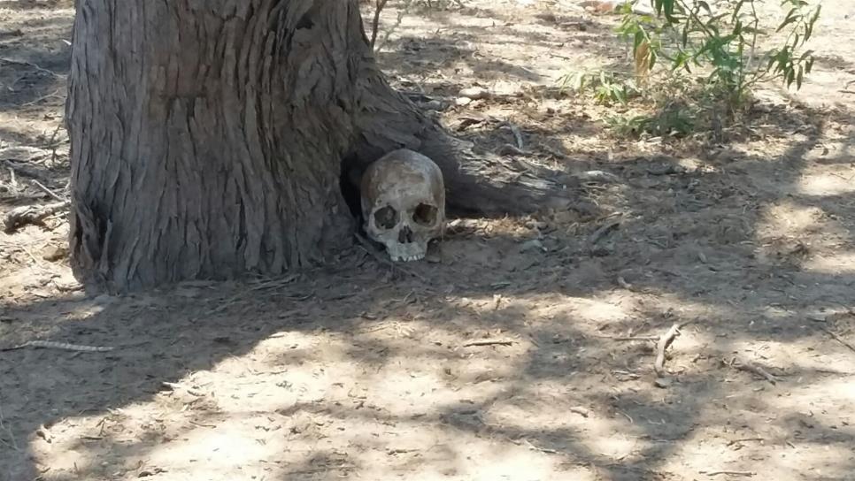 Localizan cráneo humano en Las Sabanillas