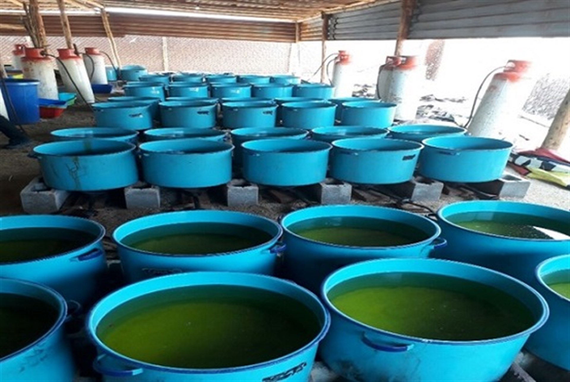 PGR asegura tras cateos precursores quÍmicos en Culiacán