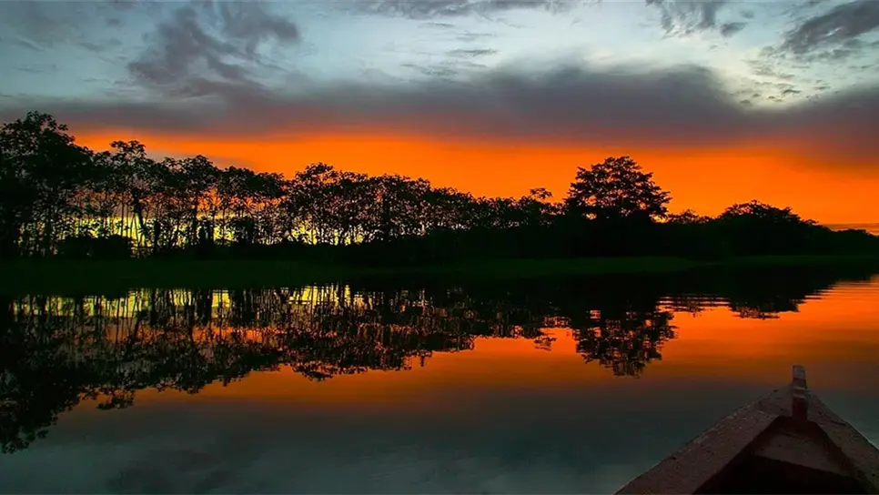 Google Earth ofrece adentrarse al corazón del Amazonas