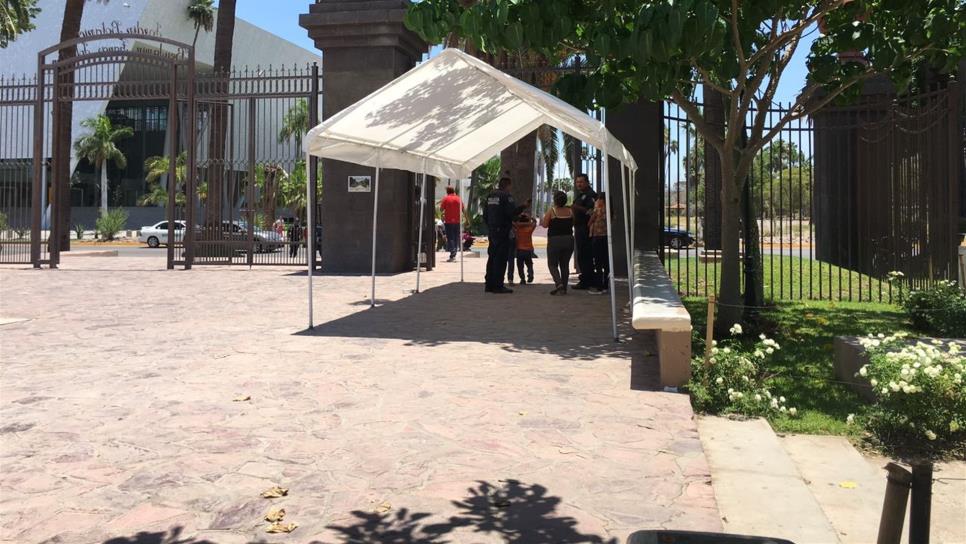 Abejas atacan a tres niños en el Parque Sinaloa